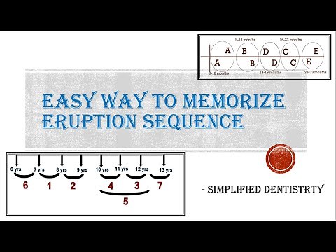 Eruption Sequence of Primary and Permanent Teeth