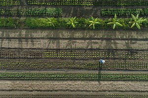 How the right buyer helped a family grow global plant-based food production