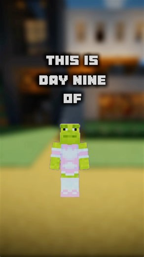 Day 9 of placing 1 block everyday