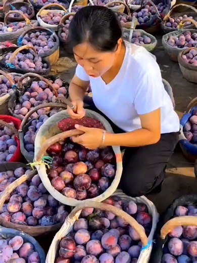 Amazing fruits cutting #satisfying #satisfying #fruits #fruitsalad