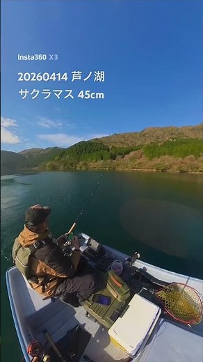 20260414 サクラマス45cm 芦ノ湖 トローリング 湖尻 おか本 さん出船♪