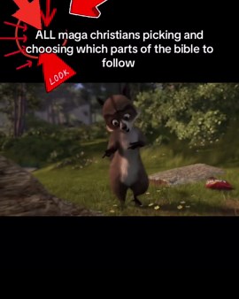 Exploring Over the Hedge: Themes and Insights