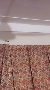 155K views · 1.5K reactions | Mission successful  | Memes Society | Facebook