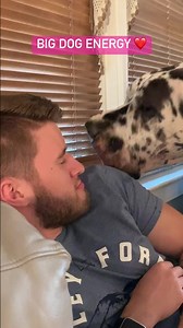 incase you wondered what a pet dinosaur was like 🦖🐾 | The Dodo