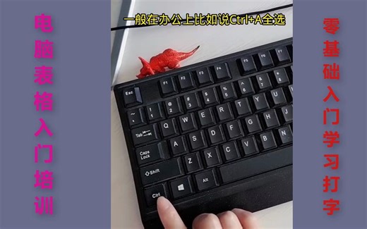 电脑表格入门培训，认识键盘，Word文档和excel表格教程