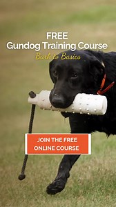 96 reactions · 5 comments | Right now, walks might feel like a...