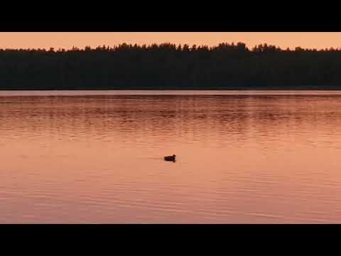 Visaginas, Lithuania! 20220826 201538