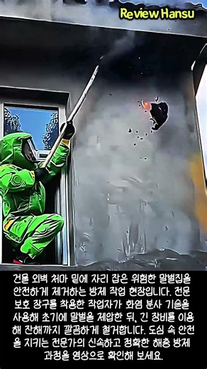 건물 외벽 말벌집 안전하게 제거하는 전문 방제 기술 #worker #process #removal #dangerous #job