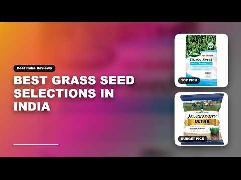 Best Grass Seed Selections in India | Grass seed