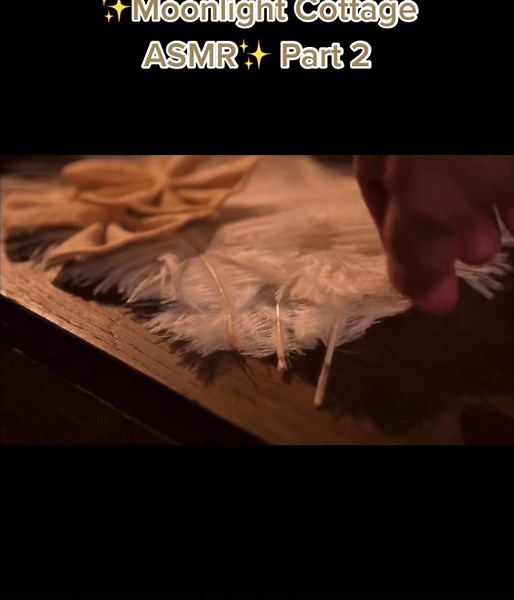 servant gets you ready for bed ASMR 😴🤎 credit: Moonlight Cottage ASMR #asmr #fyp #asmrsounds #AVrboForTogether