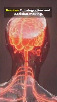 What Your Nervous System Can Do in 1 Second #psychology #mindblown