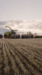 130K views · 1.2K reactions | 4,515 tons of wheatlage in 12 hours. Yes, that's a new Guinness World Records, set by the JAGUAR 1200. ​ *picks jaw up from off the ground*​ Learn more: https://bit.ly/49JAXvu | CLAAS | Facebook