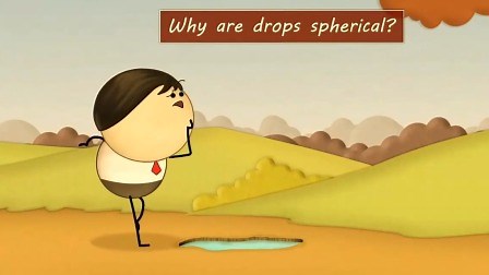 Why are drops spherical