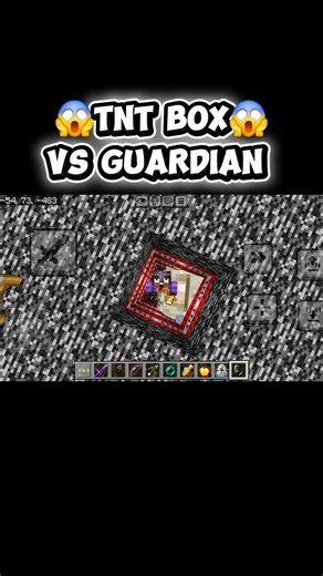 Minecraft BUT TNT BOX VS GUARDIAN 😱😱