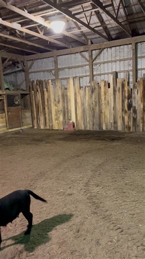 Renee Smith on Reels