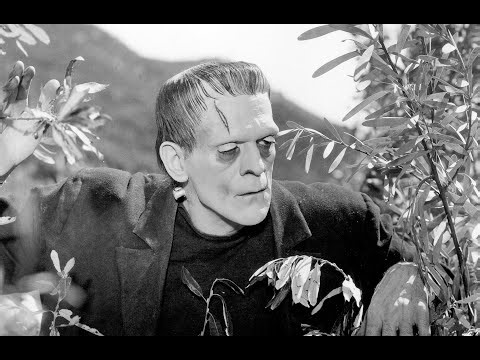 Frankenstein Parts 4-6