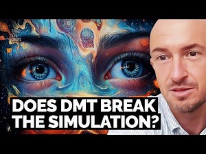DMT, The Simulation and The Future of Consciousness