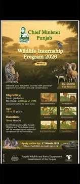 CM Punjab Wildlife Internship Program 2026 | Wildlife Internship 2026 | 60000 Stipend