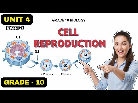 GRADE 10 BIOLOGY |UNIT 4| PART 1| CELL CYCLE EXPLAINED 🔬 | INTERPHASE, CELL DIVISION, CANCER CELLS