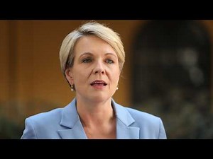 Tanya Plibersek speaks on government's $4.4 billion domestic violence investment