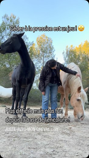 TOUT peut être un jeu ! Même quelque chose d’aussi utile et basique que d’apprendre à baisser la tête à son cheval ! Ce qui compte c’est d’être progressive MAIS AUSSI de ne jamais arrêter cette progression ! Ton cheval sait baisser la tête avec légèreté avec le licol, super ! Et depuis la nuque avec une pression minimale, super ! Alors on continue et on obtient le même résultat depuis la base de l’encolure, comme ici à pied, puis avec deux chevaux, puis à cheval ! TOUT peut toujours être amélior