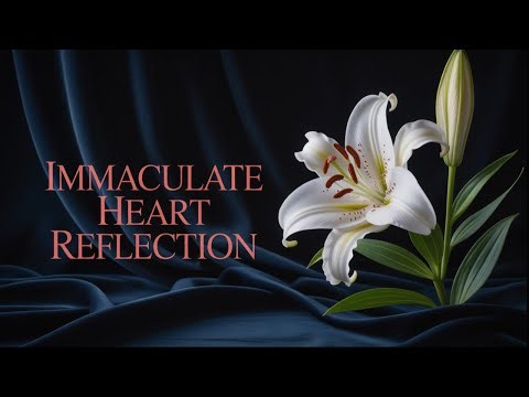 Reflection for the Solemnity of the Immaculate Conception
