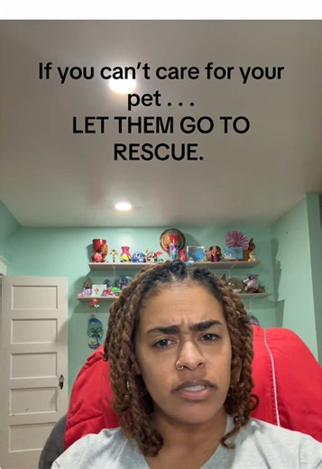 Ownership comes with responsibility. When you are no longer meeting an animal’s needs, the right thing to do is to release them to rescue. If you cannot care for your animal, or you are abusing or neglecting it, release them to someone who will provide proper care. Holding on out of selfishness is shameful. #animalrights #stopanimalcruelty #animalwelfare #humanityoverignorance