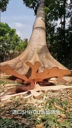 🔥 Powerful Wood Cutting Machine in Action! ⚙️🪵