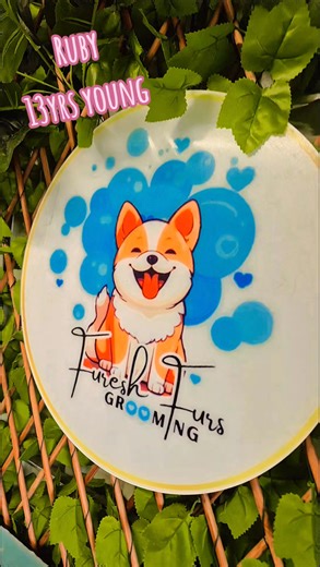 Lil Ruby came in for her scheduled Furesh session. #happiness #fureshfurs #happycustomers #pomeranian #holidayseason | Furesh Furs Grooming Salon | Facebook