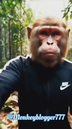 Jungle Ka Raza Main Hoon... monkey bloger