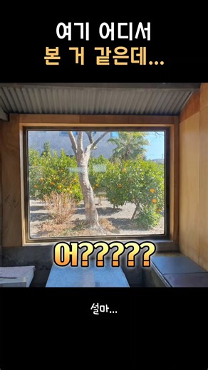 제주 카페 나만 뒤늦게 알아챈거임?