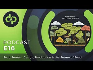 Food Forests: Design, Production & the Future of Food | Discover Permaculture: The Podcast
