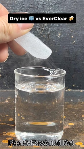Dry ice 🧊 vs EverClear 🍻 #Satisfying #Experiment #Science #ASMR #DryIce