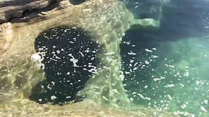 36K views · 1.6K reactions | Lake Superior blowing bubbles~ Beaver Basin Wilderness, Pictured Rocks National Lakeshore. Thanks for sharing ... | Michigan Nut Photography | Facebook