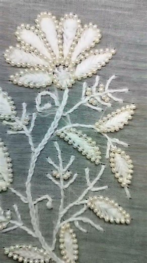 buta highlight #fashion