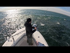 THE MOST AMAZING STRIPED BASS FISHING I HAVE EVER SEEN!!! "WHAT DREAMS ARE MADE OF!!!!"