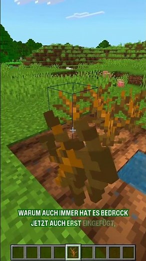 Coole NEUE Minecraft Bedrock Features!