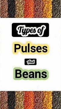 Types of Pulses and Beans || Pulses Names with picture #names #pulses #beans #types