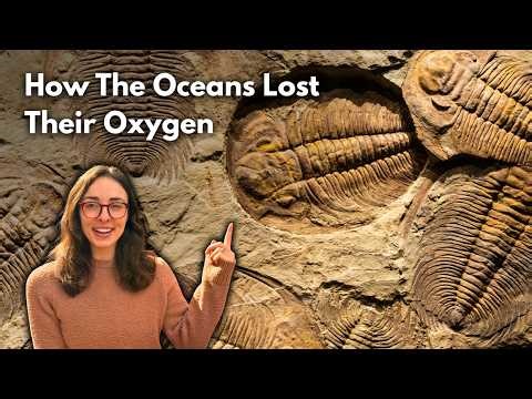 New Study Investigates What Caused the the Late Devonian Mass Extinction