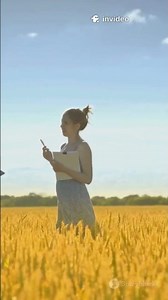 What If Crop Circles Were Alien Messages? Field Codes Unveiled – Misunderstand Wars Doom! 🌾