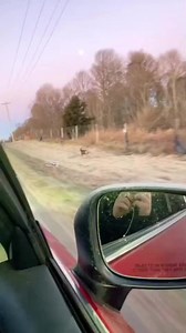 TikTok · Xinfrared Hunting