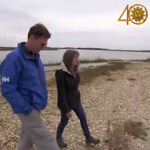 185K views · 3.5K reactions | For the last six months "Where the Crawdads Sing" has been a fixture on The New York Times' Bestsellers List. The novel by Delia Owens is a love story, murder mystery, courtroom drama, and ode to the outdoors all in one. https://cbsn.ws/2HtSATU | CBS Sunday Morning | Facebook