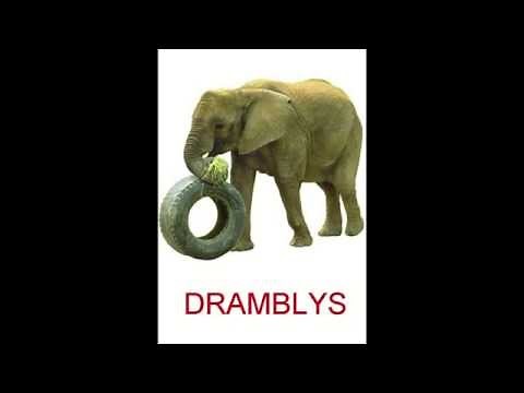 Ivairus gyvunai lietuviskai