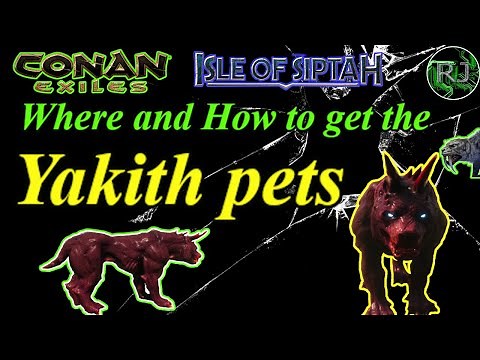 Where and How to get your YAKITH PETS Conan Exiles Isle of Siptah new pets are here