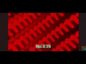 Top 10 Bad Numbers (full version) V10 LAST VERSION OF SEASON 1