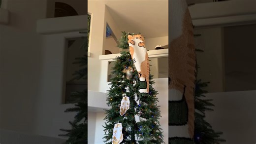 Bowing down to the cat who saved Christmas