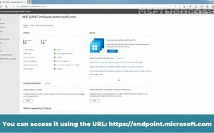 创建一个组来管理用户 -Microsoft Intune