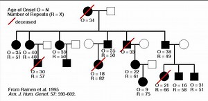 Genetics/Inheritance