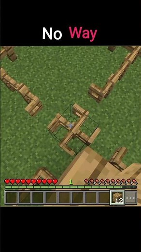 Minecraft HITLER Moment Caught On Camera?