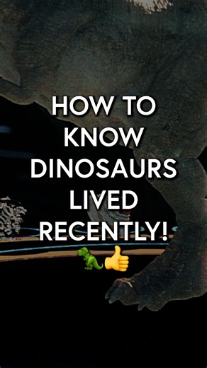 Here's how to know dinosaurs lived recently, NOT millions of years as evolutionists teach. Scientists found 16 different types of bio-organic material, including collagen, inside dinosaurs bones, while collagen alone DESTROYS the idea that these fossils are millions of years old. It simply cannot survive deep time, as even the highest estimates put its lifespan at under a million years. When you compare that to the claimed 100 million years dinosaurs apparently lived, the numbers don't even come